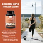 Mushroom Capsules Manufacturer - Mushroom Complex Powder Chaga Lions Mane Organic Adaptogen Reishi