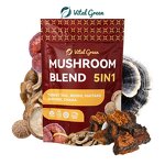 Mushroom Extract Powder Manufacturer - 10:1 Reishi Chaga Mix Turkey Tail Organic Maitake Shiitake