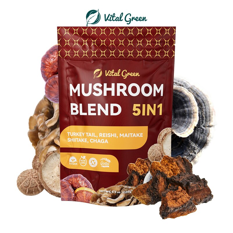 Mushroom Extract Powder Manufacturer - 10:1 Reishi Chaga Mix Turkey Tail Organic Maitake Shiitake