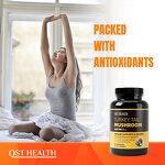 Mushroom Capsules Manufacturer - Private Label Organic Turkey Tail Powder Supplements Extract