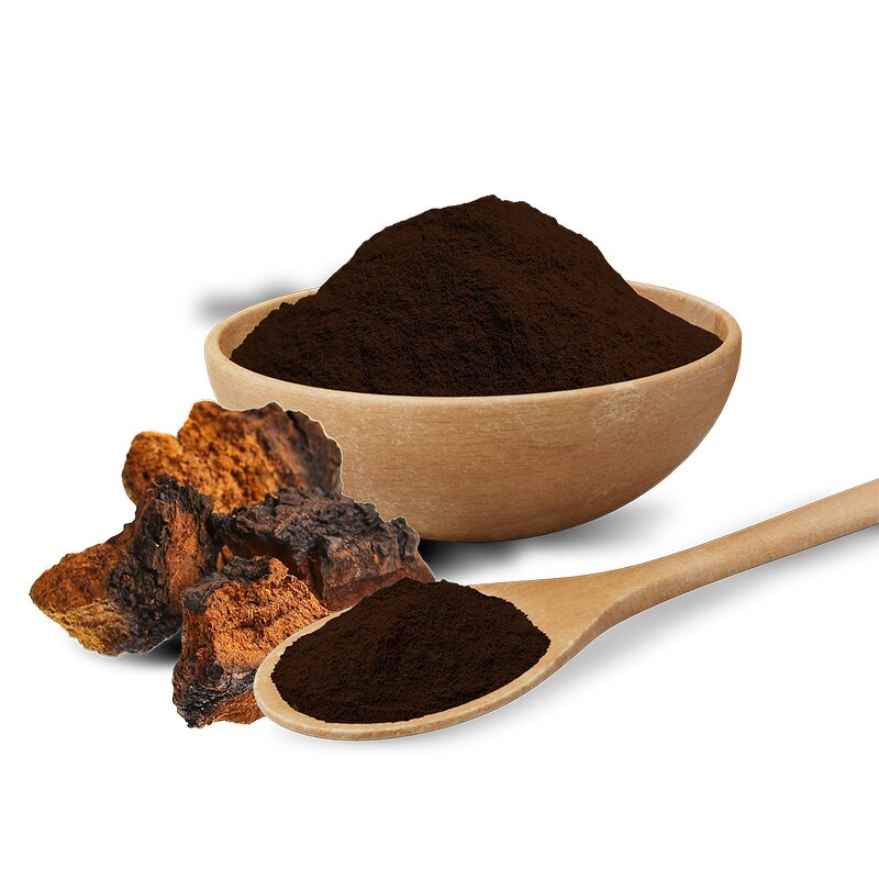 Mushroom Extract Powder Manufacturer - Wholesale Bulk 10:1 Chaga Organic Powder Extract