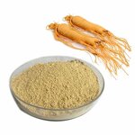 Ginseng Extract Powder Manufacturer - 10:1 20:1 Korean Panax Ginsenoside Peptide Root