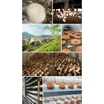 Mushroom Extract Powder Manufacturer - Wholesale Bulk 10:1 Chaga Organic Powder Extract