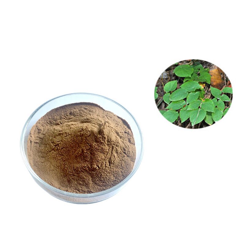 Horny Goat Weed Extract Capsules Manufacturer - Herbal Supplements Private Label Macun Icariin Extract