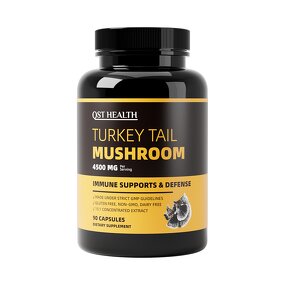 Mushroom Capsules Manufacturer - Private Label Organic Turkey Tail Powder Supplements Extract
