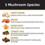 Mushroom Coffee Powder Manufacturer - Private Label Instant Lions Mane Reishi Chaga Cordyceps