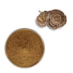 Mushroom Extract Powder Manufacturer - High Quality Plant Extract Powder 10:1 Turkey Tail