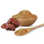Mushroom Extract Powder Manufacturer - Wholesale 10:1 Organic Reishi Lucidum Extract