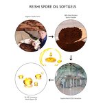 Spore Oil Softgel Manufacturer - Reishi Mushroom Co2 Extraction Lingzhi Lucidum Spore Oil