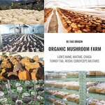 Mushroom Extract Powder Manufacturer - 10:1 30:1 Reishi Ganoderma Lucidum Dual Extract