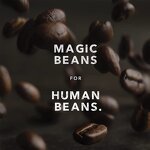 Mushroom Coffee Powder Manufacturer - Reishi Sachets Chaga Shiitake Instant Organic Private Label Lions Mane