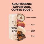 Mushroom Coffee Powder Manufacturer - Chaga Shiitake Instant Ganoderma Reishi Private Label Lions Mane