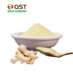 Ginger Tea Powder Manufacturer - QST All Natural Powdered Ginger Spicy Juice Extract
