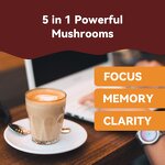 Mushroom Extract Powder Manufacturer - 10:1 Reishi Chaga Mix Turkey Tail Organic Maitake Shiitake