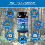 Mushroom Capsules Manufacturer - 7 in 1 Reishi Cordyceps Chaga Turkey Tail Shiitake Lions Mane 20 Blend