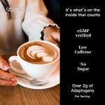 Mushroom Coffee Powder Manufacturer - 6 in 1 Organic Chaga Cordyceps Instant Ganoderma Reishi