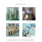 Extract Powder Manufacturer - Organic 2% Turmeric Ginger Tea 95% Wild Curcumin Skincare