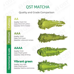 Matcha Green Tea Powder Manufacturer - Wholesale Ceremonial Grade Certified Organic Bulk 1kg Pure