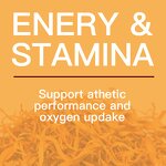 Mushroom Capsules Manufacturer - Private Label Healthcare Supplements Organic Cordyceps Sinensis Militaris