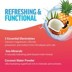 Electrolyte Drink Mix Manufacturer - Vegan Hydration Packets Keto Sugar Free Food Supplement