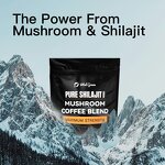 Mushroom Coffee Powder Manufacturer - Private Label Bulk Mushrooms Blend Himalayan Shilajit Extract