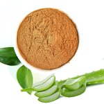 Aloe Vera Powder Manufacturer - Plant Extract Vera Extract Freeze Dried 20:1 200x 100% Organic