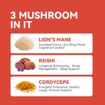 Mushroom Extract Powder Manufacturer - Reishi Cordyceps Mix 10% Polysaccharides Lions Mane Blend