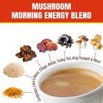 Mushroom Coffee Powder Manufacturer - Organic Chaga Cordyceps Instant 14 Blend 7 Mushroom Mixed