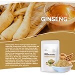 Ginseng Extract Powder Manufacturer - 10:1 20:1 Korean Panax Ginsenoside Peptide Root
