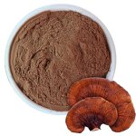 Mushroom Extract Powder Manufacturer - EU & USDA Organic Ganoderma Lucidum Reishi Dual Extract