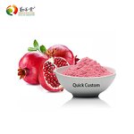 Fruit Juice Powder Manufacturer - Instant Pomegranate 100% Natural Red