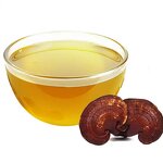 Spore Oil Capsules Manufacturer - Reishi Mushroom Lucidum Spore Oil