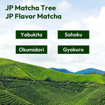Matcha Powder Manufacturer - Wholesale Quality 3a 4a Grade Mushroom Latte Mix Adaptogens