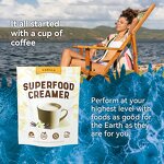 Coconut Coffee Creamer Powder Manufacturer - Vital Green Wholesale Vegan Adaptogenic Non-Dairy Collagen