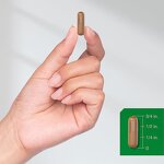 Mushroom Capsules Manufacturer - Private Label Supplement Lions Mane Powder Tablet Organic