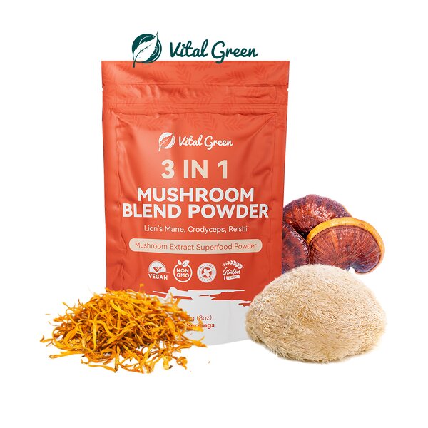 Mushroom Extract Powder Manufacturer - Reishi Cordyceps Mix 10% Polysaccharides Lions Mane Blend