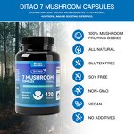 Mushroom Capsules Manufacturer - 7 in 1 Reishi Cordyceps Chaga Turkey Tail Shiitake Lions Mane 20 Blend
