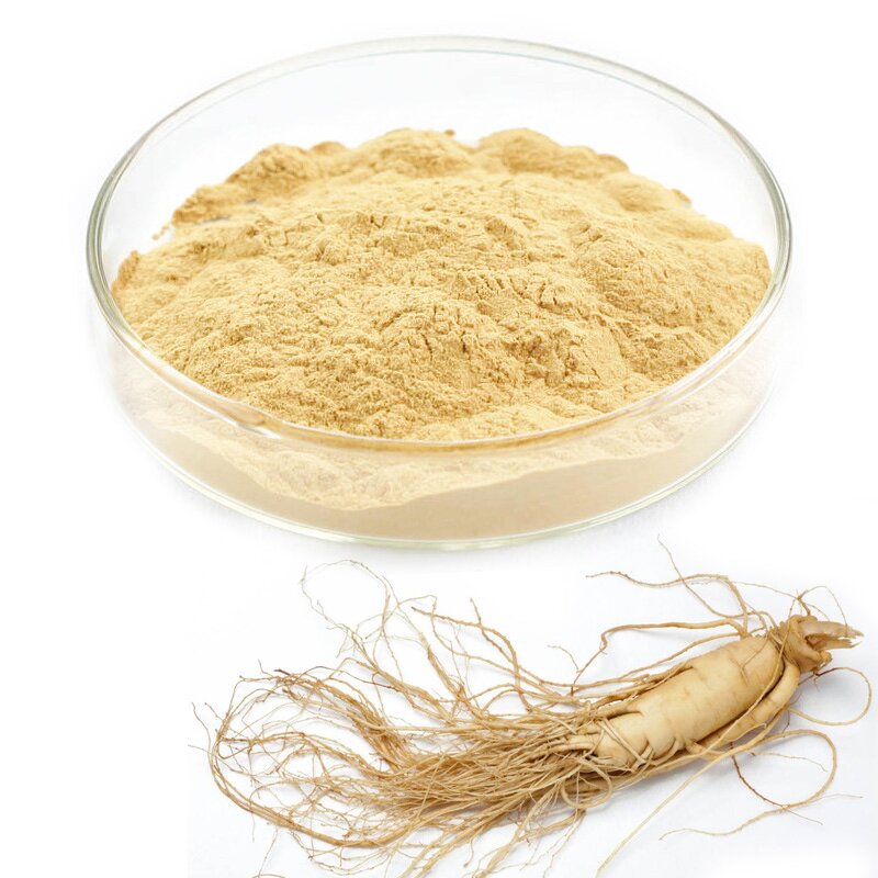 Ginseng Extract Powder Manufacturer - 10:1 20:1 Korean Panax Ginsenoside Peptide Root