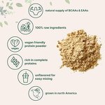 Protein Powder Manufacturer - Wholesale Private Label Superfoods Green Organic Vegan Plant Probiotics