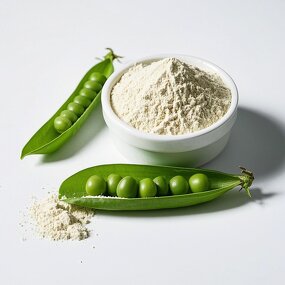 Pea Protein Isolate Powder Manufacturer - Wholesale Private Label Bulk Yellow Vanilla Vegan 20kg 25kg