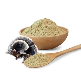 Mushroom Extract Powder Manufacturer - High Quality Polysaccharides Turkey Tail 10:1 20:1 Powder