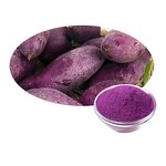 Powder Manufacturer - Solanum Tuberdsm 100% Pure Natural Organic Wholesale Purple Sweet Potato