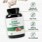 Mushroom Capsules Manufacturer - Private Label Organic Lingzhi Reishi Extract Powder Ganoderma