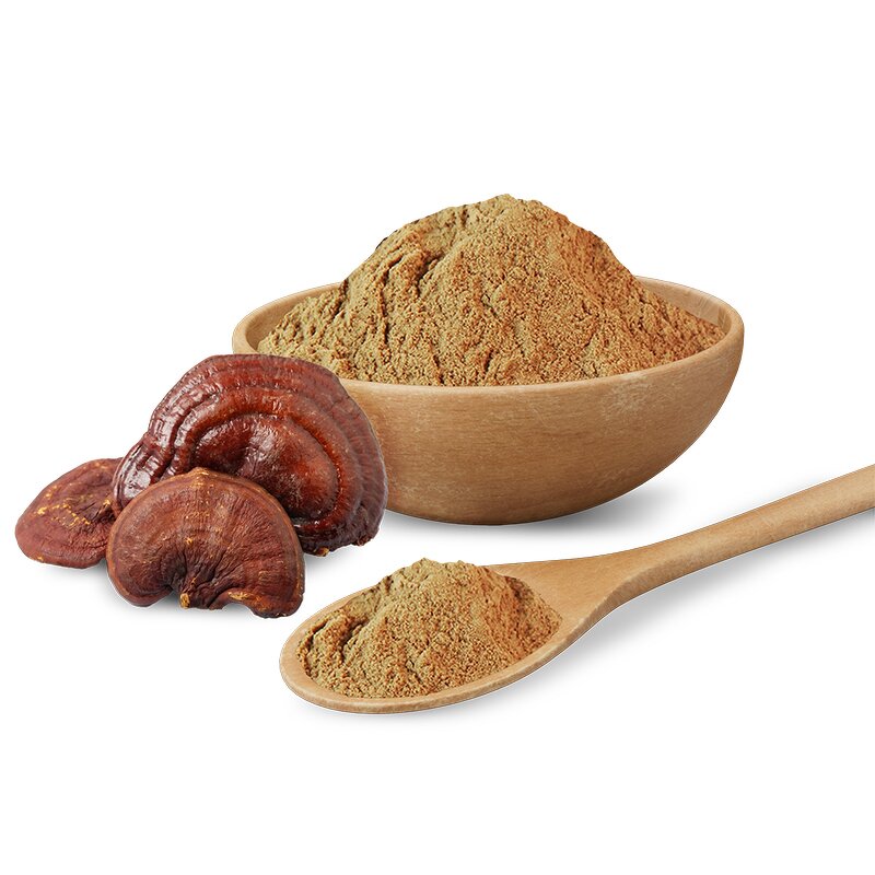 Mushroom Extract Powder Manufacturer - Wholesale 10:1 Lingzhi Reishi Button Organic Lucidum Extract