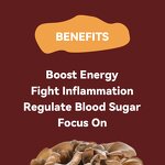 Mushroom Extract Powder Manufacturer - 10:1 Reishi Chaga Mix Turkey Tail Organic Maitake Shiitake