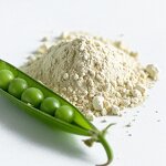 Pea Protein Isolate Powder Manufacturer - Wholesale Private Label Custom Bulk Organic Vegan 21g Plant