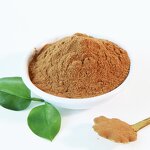 Horny Goat Weed Extract Powder Manufacturer - Raw Material Spora Nutrition Wholesale Herbal Vegan Capsules