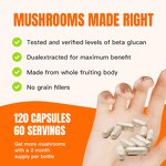 Mushroom Powder Capsules Manufacturer - Private Label Organic Chaga Extract Chaga Powder