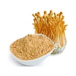Mushroom Extract Powder Manufacturer - Wholesale Bulk 10:1 Cordyceps 1kg Organic Sinensis Militaris