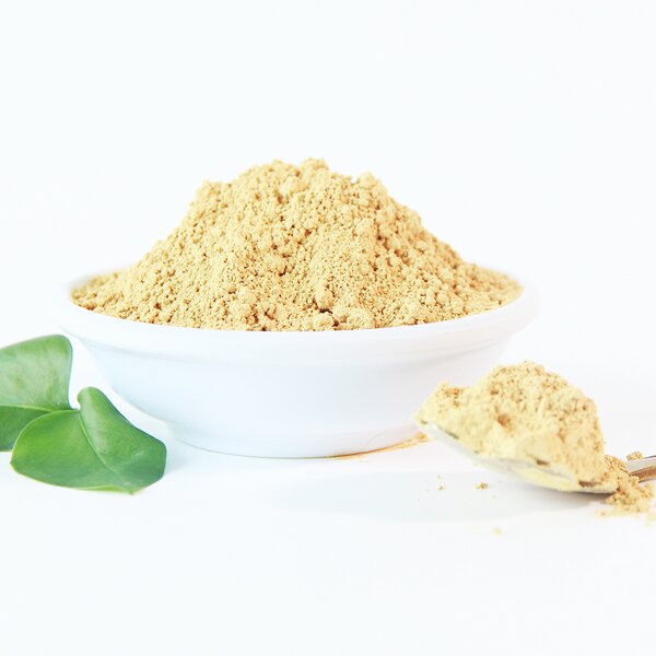 Milk Thistle Extract Powder Manufacturer - Wholesale Silymarin Marianum Organic Seeds Supplement